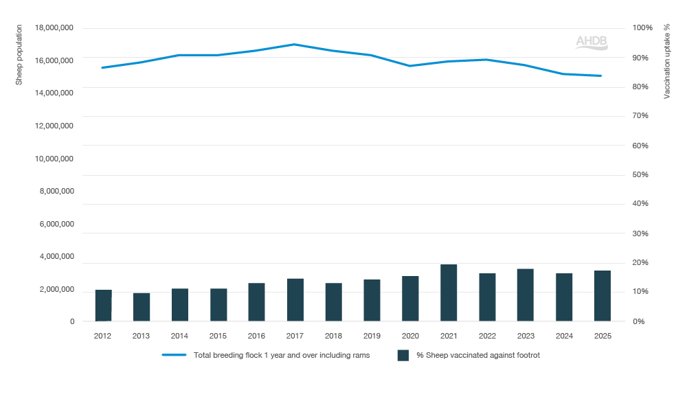 Bar and line chart showing footrot vaccination between 2012–2025.